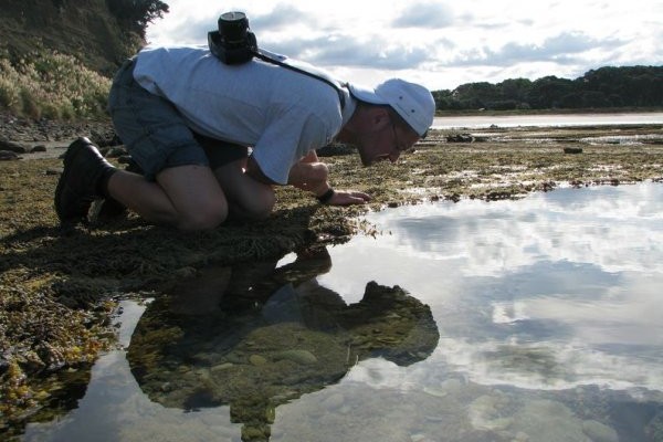 Exploring rock pools Exploring rock pools